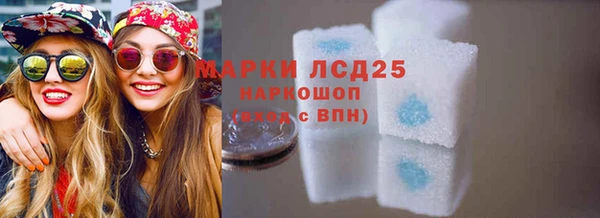 прущий лед Алзамай